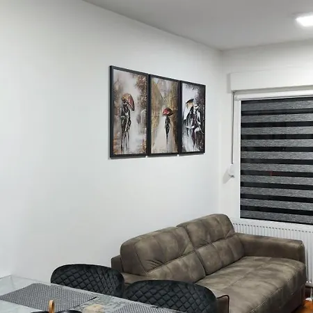 Marinkovic Stan Na Dan