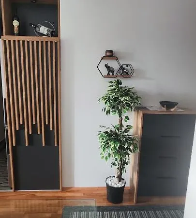 Marinkovic Stan Na Dan 아파트 브라네