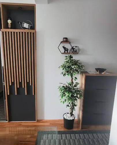 Marinkovic Stan Na Dan Apartman Vranje